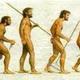 Evoluçao