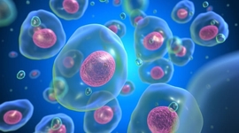 Timeline: Historia de la Teorìa Celular