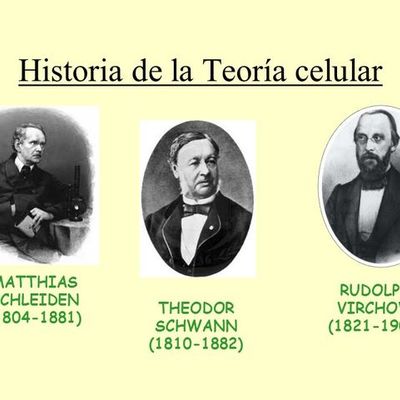 Timeline: historia de la teoria celular