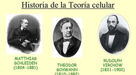 Timeline: historia de la teoria celular