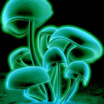 Timeline: Historia de la Micología