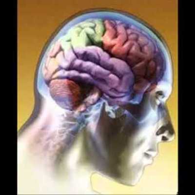 Timeline: Antecedentes históricos del estudio de la Biología del Comportamiento.