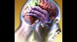 Timeline: Antecedentes históricos del estudio de la Biología del Comportamiento.