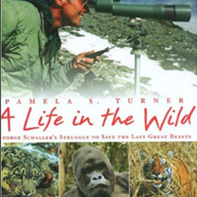 Timeline: A life in the wild Chapter 3