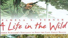 Timeline: A life in the wild Chapter 3