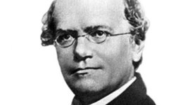 Timeline: Gregor Mendel