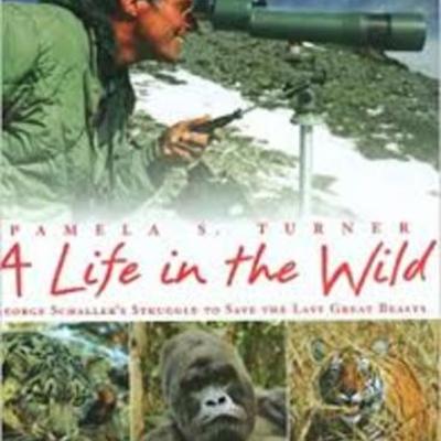 Timeline: A life in the wild chapter 3