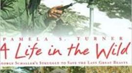 Timeline: A life in the wild chapter 3