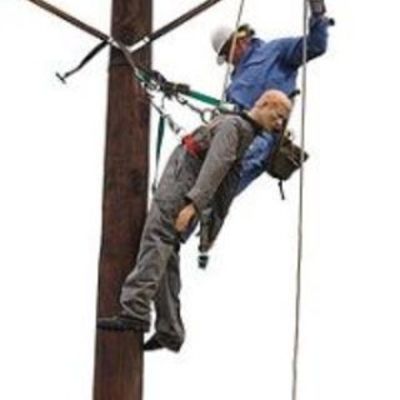Timeline: lineman job