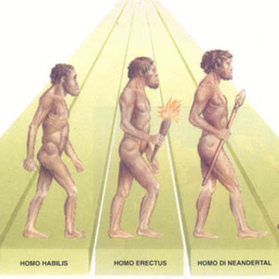 Timeline: Evoluzione dell'Uomo