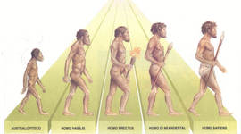 Timeline: Evoluzione dell'Uomo