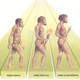 Evoluzione uomo preistoria