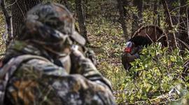 Timeline: The History of Turkey Hunting