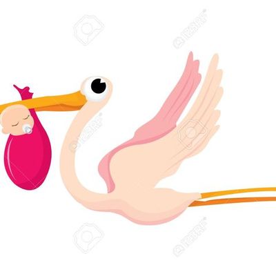 Timeline: mi vida claudy