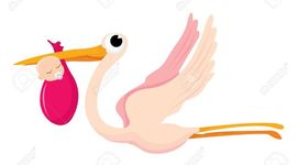 Timeline: mi vida claudy