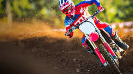 Timeline: Seth collard