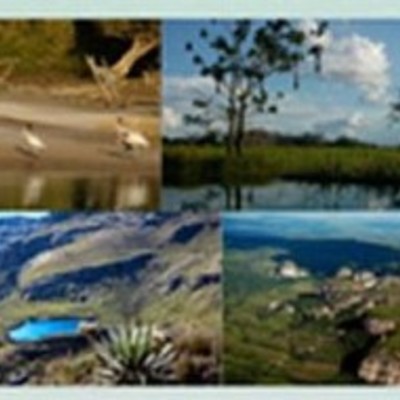 Timeline: conservación ambiental en Colombia