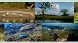 Timeline: conservación ambiental en Colombia
