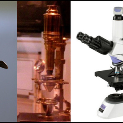 Timeline: El microscopio.
