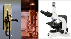 Timeline: El microscopio.