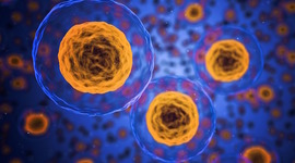 Timeline: Historia De La Teoria Celular