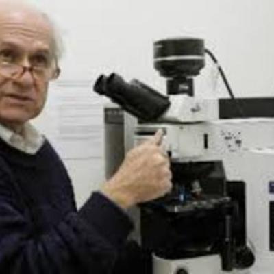 Timeline: Manuel Elkin Patarroyo