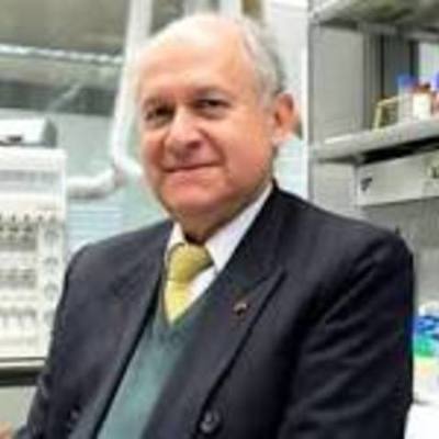 Timeline: manuel elkin patarroyo