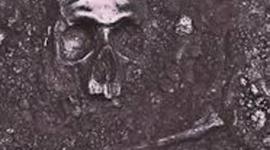 Timeline: REVISTA GRIS