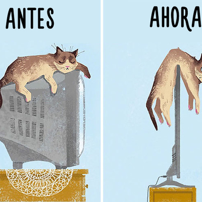 Timeline: linea de tiempo