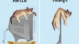 Timeline: linea de tiempo