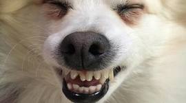 Timeline: My Education