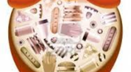 Timeline: Obesidad, trastorno alimenticio