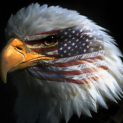 Timeline: APUSH - Period 2