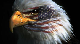 Timeline: APUSH - Period 2