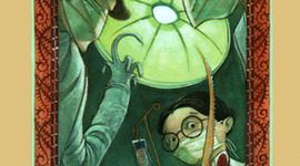 Timeline: A series of unfortunate events