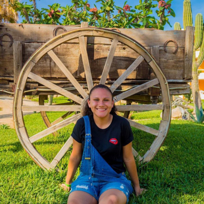 Timeline: Linea de Via