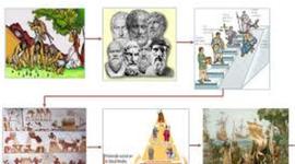 Timeline: La Evolución de la administración