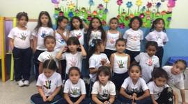 Timeline: Implementación de la estrategia pedagógica mediante el uso del OVA