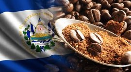 Timeline: Estructura de la república cafetalera