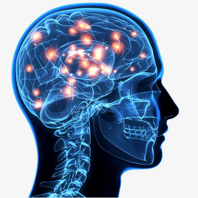 Timeline: “Antecedentes históricos del estudio de la Biología del comportamiento”