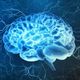 Cerebro iluminado 1 2