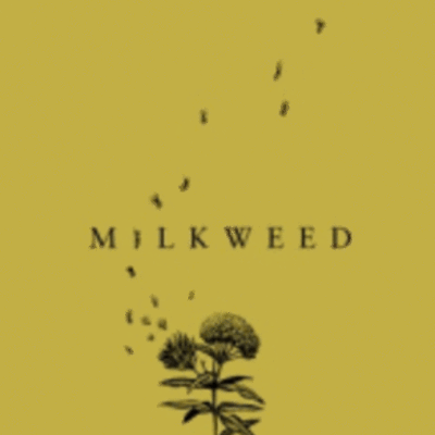 Timeline: Milkweed Timeline-Reality Correlation