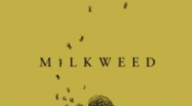 Timeline: Milkweed Timeline-Reality Correlation