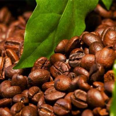 Timeline: Estructura de la república cafetalera