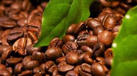 Timeline: Estructura de la república cafetalera