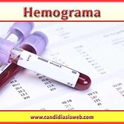 Timeline: HEMOGRAMA