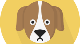 Timeline: Evolution of the dog