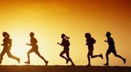 Timeline: Estudios del impacto de la actividad física en pacientes con diabetes