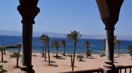 Timeline: My Journey