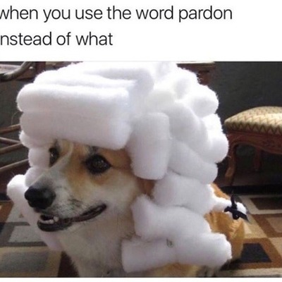 Timeline: Histoy time line